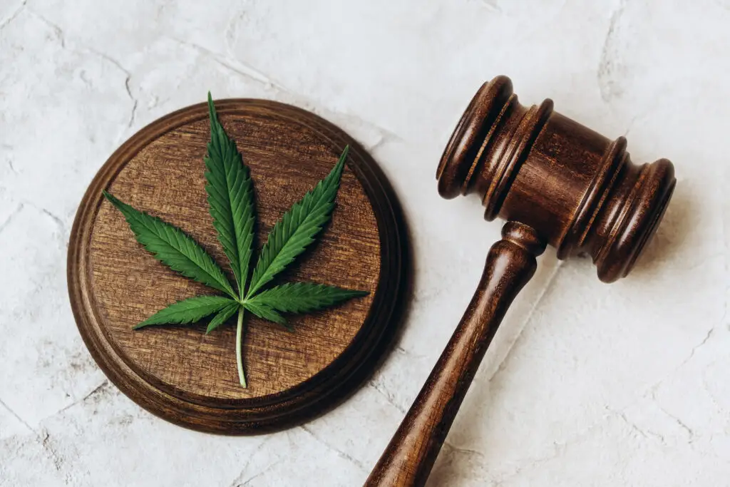 Navigating Cannabis Legalization: Updates and Regulations in Cambridge 1 65f8ba64dfbf279b54039cfd GettyImages 1385732573 CannabisLaw 1