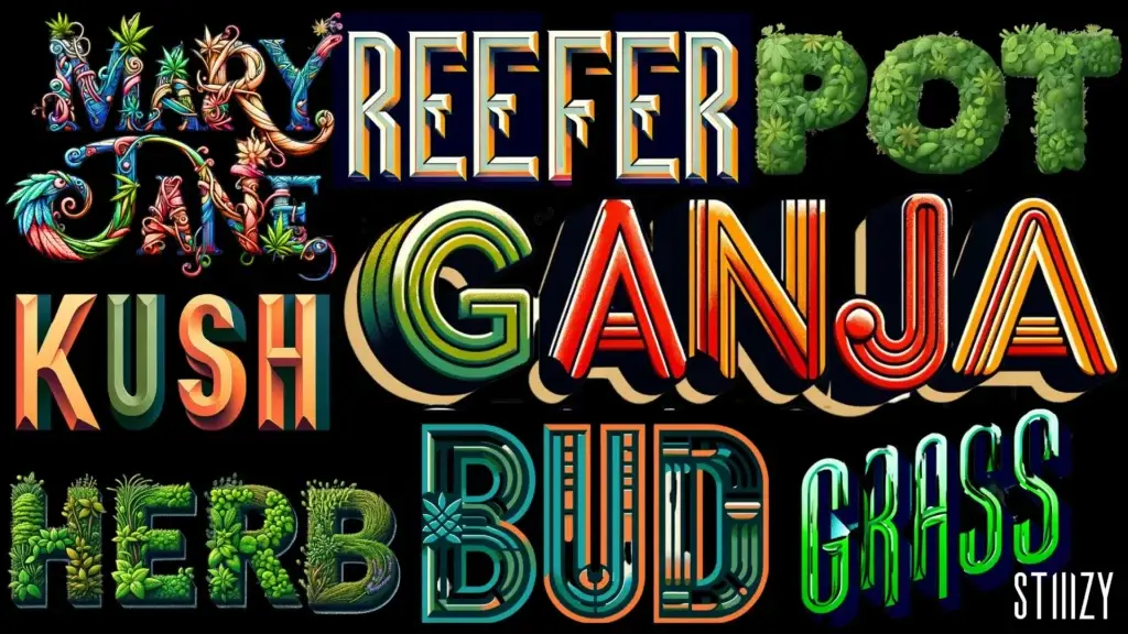 Exploring Marijuana Products and Reviews Throughout the 20th Century: Insights from Cambridge Dispensaries 2 660ab42ce0f41f20dea40b4d marijuana slang terms 1920x